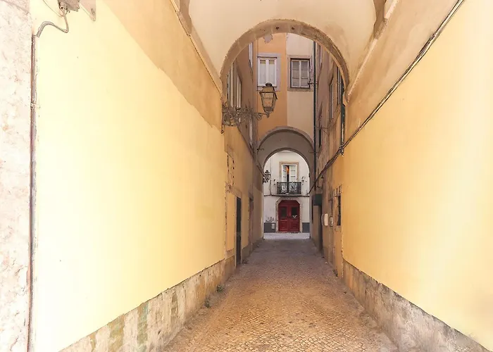 Santos Tiny By Homing *